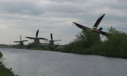 Zdjcie HOLANDIA / brak / Kinderdijk / windmills