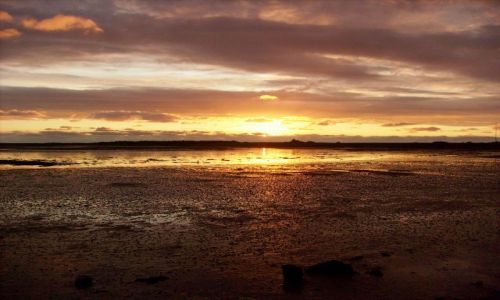 Zdjecie HOLANDIA / Wyspa / Schiermonnikoog / Piknie