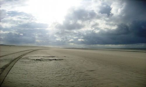 Zdjecie HOLANDIA / brak / Schiiermonnikoog / Krajobraz