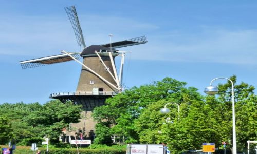 Zdjecie HOLANDIA / Zuid Holland / Leiden / Samotny wiatrak