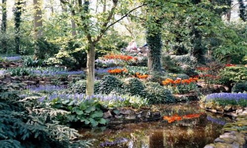 Zdjecie HOLANDIA / Lisse / Keukenhof  / Zaciszny zaktek