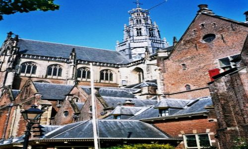 Zdjecie HOLANDIA / Holandia Pnocna / Haarlem / koci St Bavo w Haarlemie