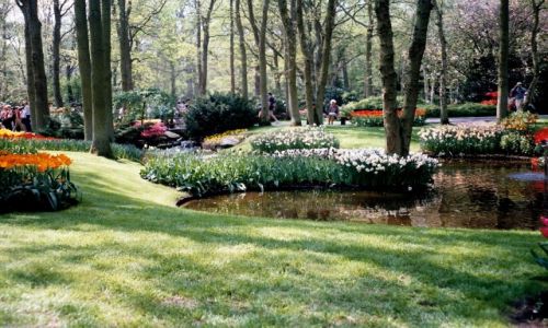 Zdjęcie HOLANDIA / Holandia Północna / Keukenhof  / zakątek