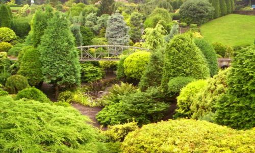 Zdjcie HOLANDIA / Zuid Holland / Haga / Madurodam