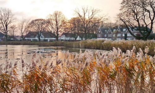 Zdjecie HOLANDIA / Overijssel / Hengelo / Zachd