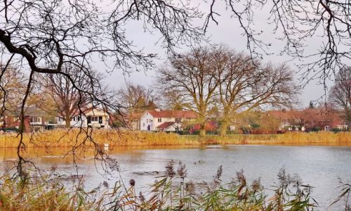 Zdjcie HOLANDIA / Overijssel / Hengelo / Staw w Hengelo
