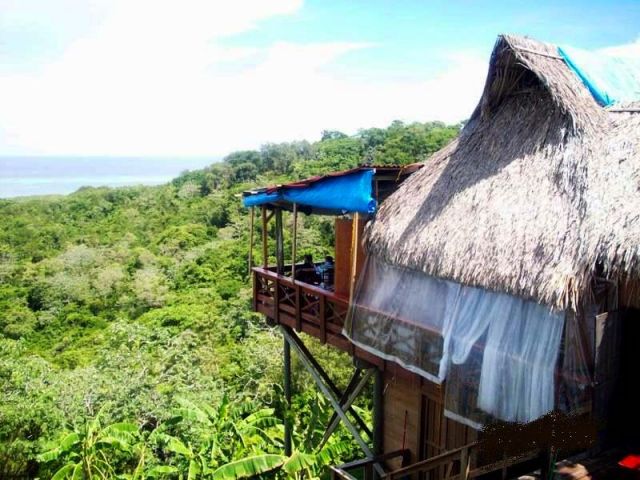 Zdjęcia: Roatan, Roatan, Chatka w dżungli, HONDURAS Zdjęcia: Roatan, Roatan, Chatka w dżungli, HONDURAS