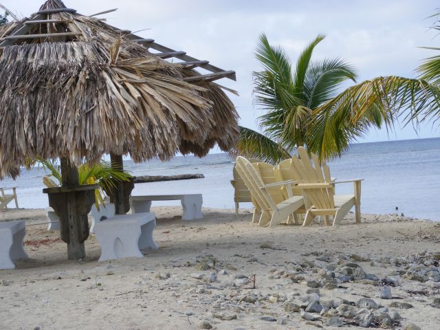 Zdjęcia: Utila -plaża nad morzem Karaibskim, Wyspa Utila, Plaża, HONDURAS Zdjęcia: Utila -plaża nad morzem Karaibskim, Wyspa Utila, Plaża, HONDURAS