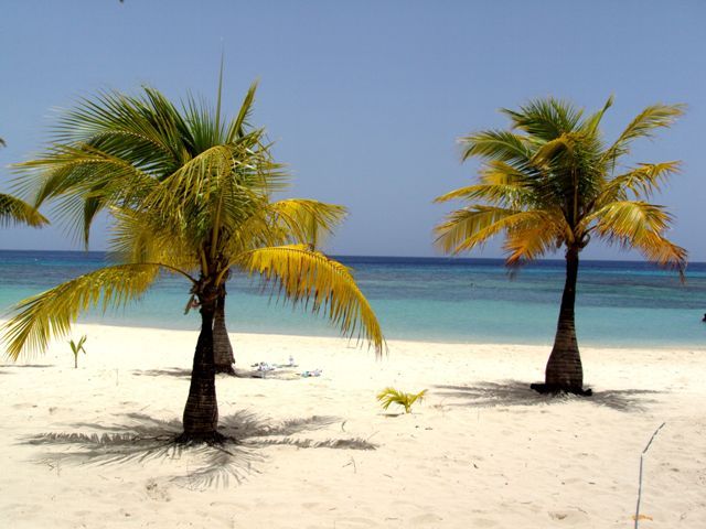 Zdjęcia: West Bay, Roatan, karaiby..., HONDURAS Zdjęcia: West Bay, Roatan, karaiby..., HONDURAS