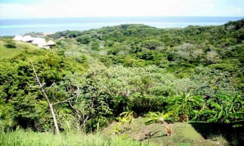 Zdjęcie HONDURAS / Honduras / Roatan / Roatan