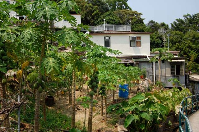Zdjęcia: Wyspa Lamma, Hongkong z innej strony, HONG KONG Zdjęcia: Wyspa Lamma, Hongkong z innej strony, HONG KONG