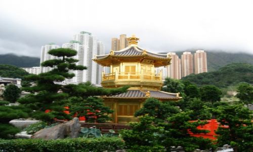 Zdjecie HONG KONG / Hong Kong / Hong Kong / Oaza ciszy i spokoju