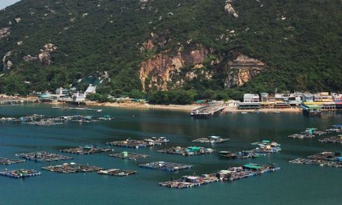 Zdjęcie HONG KONG / - / Wyspa Lamma / Wyspa Lamma