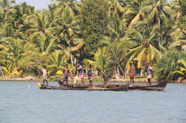Zdjęcia: Kumarakom, Kerala, na ryby cd., INDIE Zdjęcia: Kumarakom, Kerala, na ryby cd., INDIE