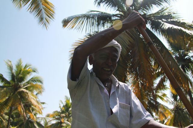 Zdjęcia: Kumarakum, Kerala, żeglarz, INDIE Zdjęcia: Kumarakum, Kerala, żeglarz, INDIE