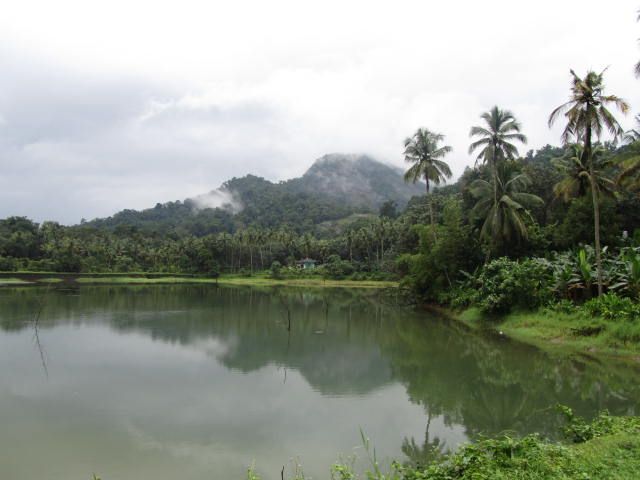 Zdjęcia: Kotamangalam, Kerala, Thattekkad,rezerwat ptaków, INDIE Zdjęcia: Kotamangalam, Kerala, Thattekkad,rezerwat ptaków, INDIE