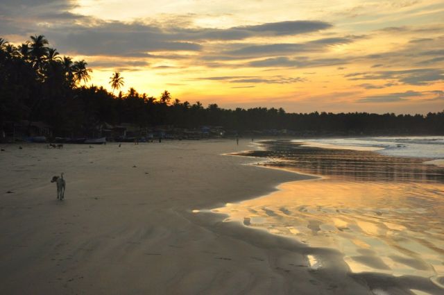 Zdjęcia: Goa, Poranek, INDIE Zdjęcia: Goa, Poranek, INDIE