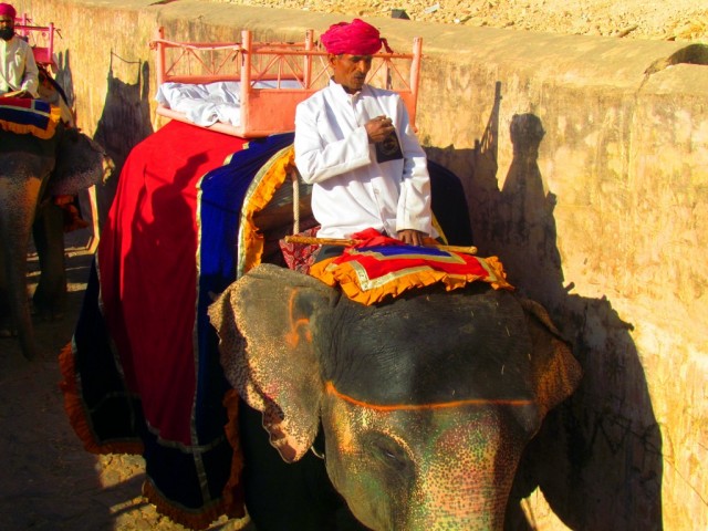Zdj cia: Jaipur, Radastan, Sonie w Amber Fort, INDIE