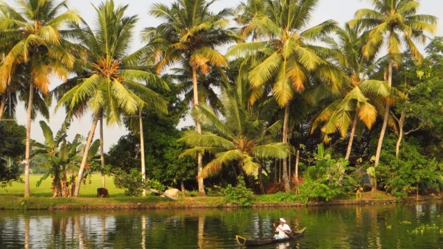 Zdj cia Okolice Allepey Kerala Rozlewiska Kerali INDIE zdj-cia-okolice-allepey-kerala-rozlewiska-kerali-indie