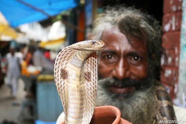 Zdjęcia: Varanasi, Kolejny sadhu, INDIE Zdjęcia: Varanasi, Kolejny sadhu, INDIE