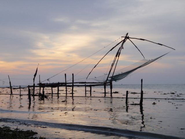 Zdjęcia: Kochi, Chińskie sieci, INDIE Zdjęcia: Kochi, Chińskie sieci, INDIE