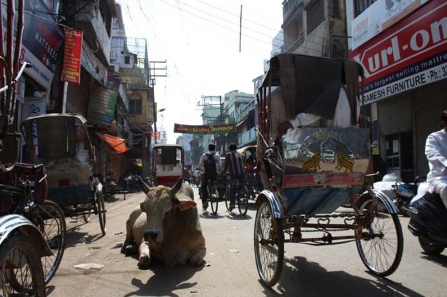 Zdjęcia: varanasi, trawienie, INDIE Zdjęcia: varanasi, trawienie, INDIE