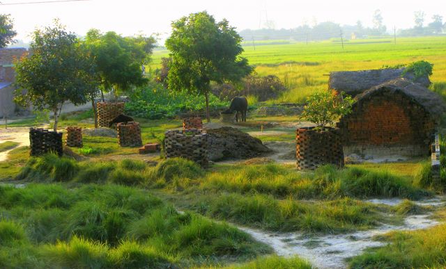 Zdjęcia: gdzies miedzy Varanasi a Gorakhpur, wies spokojna, INDIE Zdjęcia: gdzies miedzy Varanasi a Gorakhpur, wies spokojna, INDIE