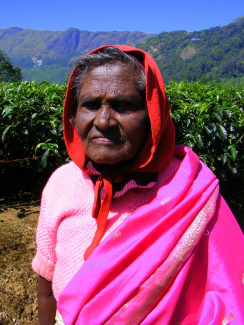 Zdjęcia: Munnar, pani, ktora poprosila o zdjecie:), INDIE Zdjęcia: Munnar, pani, ktora poprosila o zdjecie:), INDIE