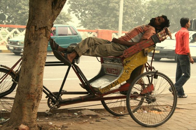 Zdjęcia: NEW DELHI, drzemka, INDIE Zdjęcia: NEW DELHI, drzemka, INDIE