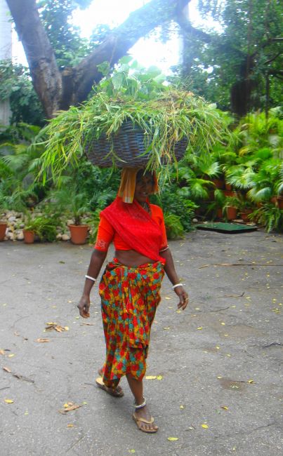 Zdjęcia: Udaipur, Colors, INDIE Zdjęcia: Udaipur, Colors, INDIE
