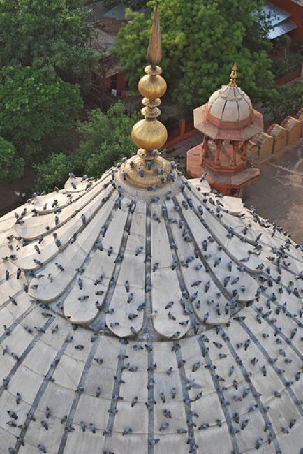 Zdjęcia: Delhi, jama masjid, INDIE Zdjęcia: Delhi, jama masjid, INDIE