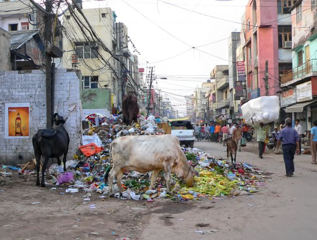Zdjęcia: Delhi, Delhi, Paharganj, w centrum stolicy Indii, INDIE Zdjęcia: Delhi, Delhi, Paharganj, w centrum stolicy Indii, INDIE