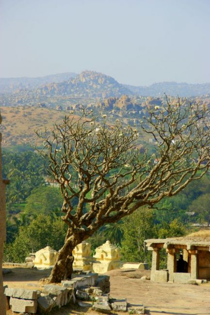 Zdjęcia: Hampi, Hampi, INDIE Zdjęcia: Hampi, Hampi, INDIE
