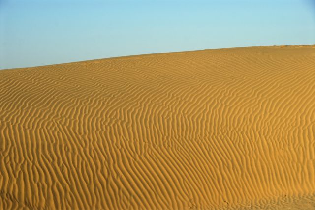 Zdjęcia: pustynia Thar, Rajasthan, wydmy, INDIE Zdjęcia: pustynia Thar, Rajasthan, wydmy, INDIE