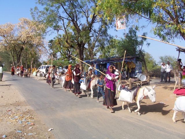 Zdjęcia: w drodze między Mehsaną a Ahmadabadem, Gujarat, Koczownicze plemię Rabari, INDIE Zdjęcia: w drodze między Mehsaną a Ahmadabadem, Gujarat, Koczownicze plemię Rabari, INDIE