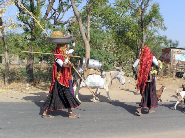 Zdjęcia: w drodze między Mehsaną a Ahmadabadem, Gujarat, wędrówka koczowników Rabari, INDIE Zdjęcia: w drodze między Mehsaną a Ahmadabadem, Gujarat, wędrówka koczowników Rabari, INDIE