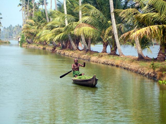 Zdjęcia: kanały między Kochin a Alapuzzha, -Kerala, transport trawy, INDIE Zdjęcia: kanały między Kochin a Alapuzzha, -Kerala, transport trawy, INDIE