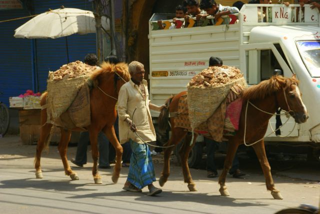 Zdjęcia: Ahmamabad, Ahmamabad, Transport, INDIE Zdjęcia: Ahmamabad, Ahmamabad, Transport, INDIE