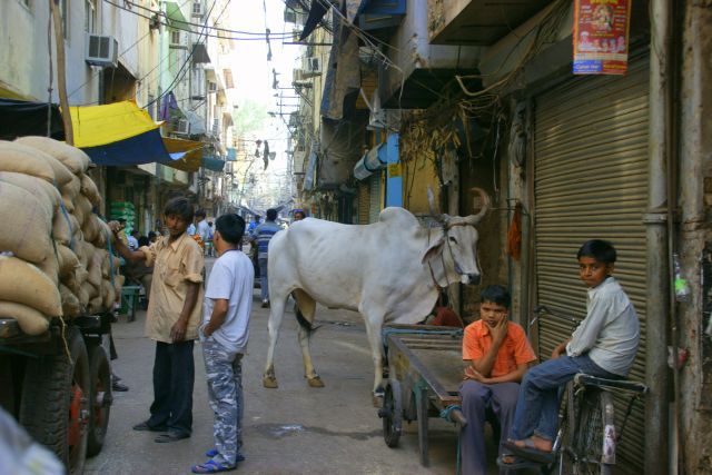 Zdjęcia: Delhi, Delhi, Tłok, INDIE Zdjęcia: Delhi, Delhi, Tłok, INDIE