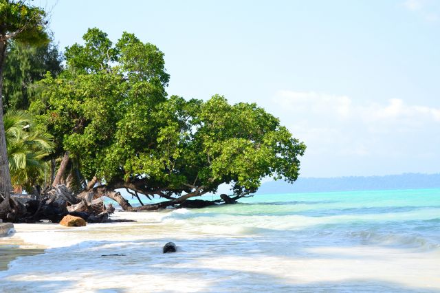 Zdjęcia: Havelock Island, Andamany, beach no 5, INDIE Zdjęcia: Havelock Island, Andamany, beach no 5, INDIE