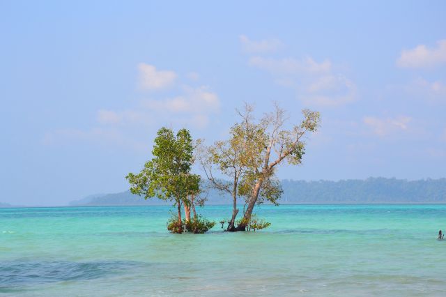 Zdjęcia: Havelock Island, Andamany, beach no 3, INDIE Zdjęcia: Havelock Island, Andamany, beach no 3, INDIE