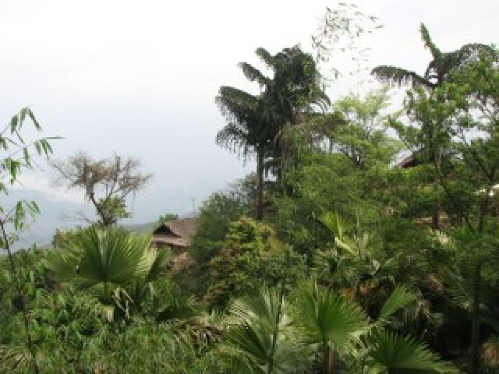 Zdjęcia: LONGWA, NAGALAND, twarz, INDIE Zdjęcia: LONGWA, NAGALAND, twarz, INDIE