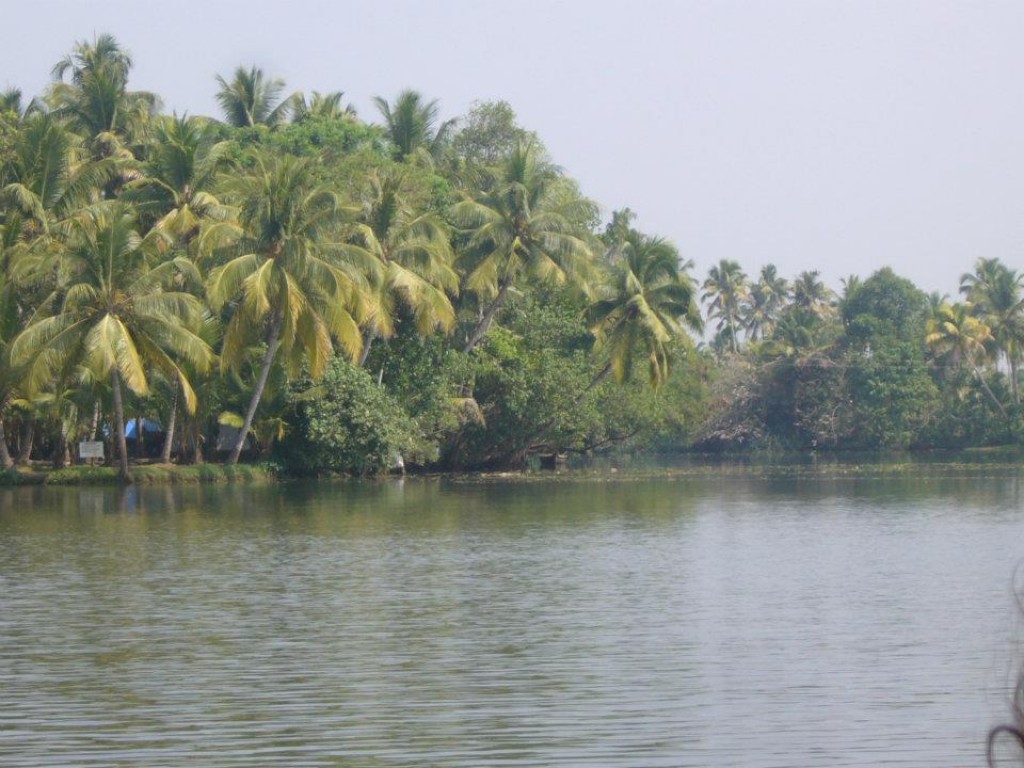 Zdjęcia: Cochin, Kerala, Indie, INDIE Zdjęcia: Cochin, Kerala, Indie, INDIE