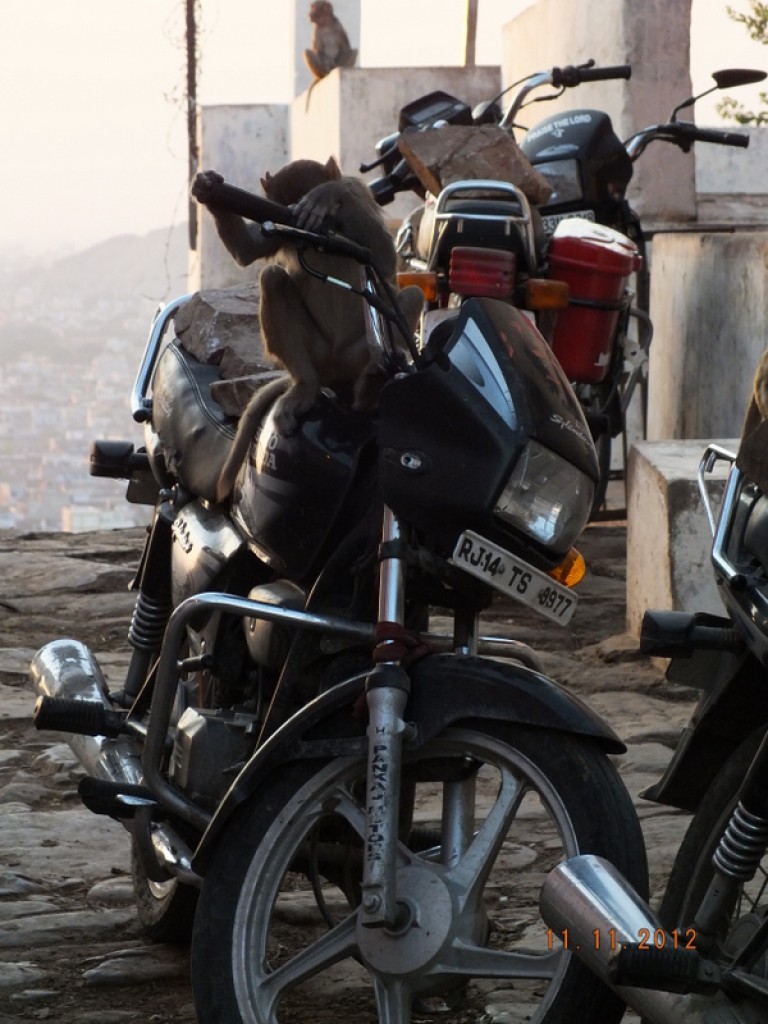 Zdjęcia: Jaipur, Radzastan, Indie, INDIE Zdjęcia: Jaipur, Radzastan, Indie, INDIE