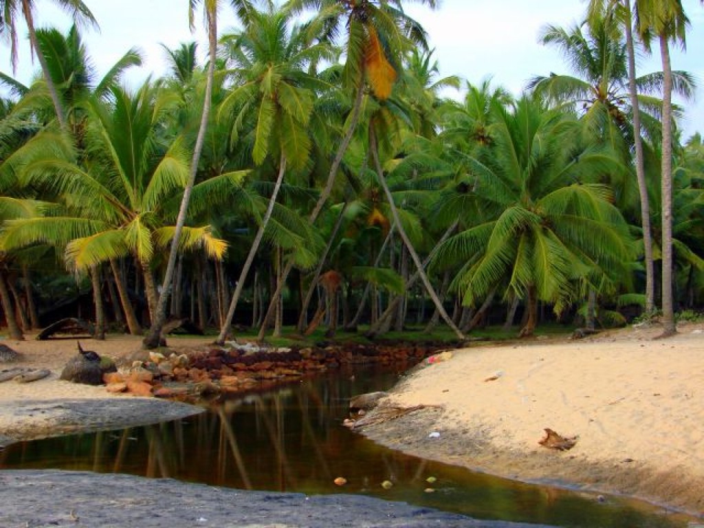 Zdjęcia: Goa, Goa, Goa, INDIE Zdjęcia: Goa, Goa, Goa, INDIE