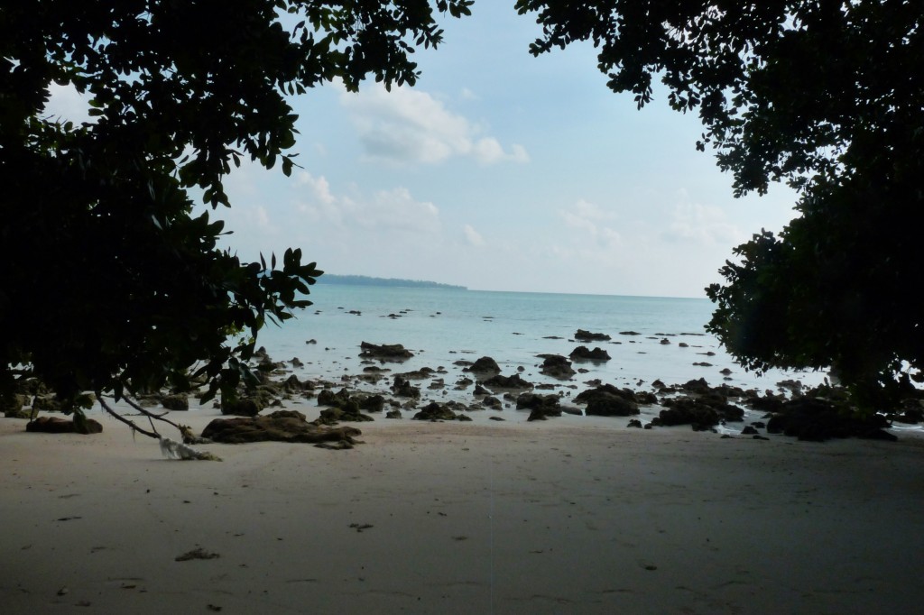 Zdjęcia: Havelock, Andamany , Plaża, INDIE Zdjęcia: Havelock, Andamany , Plaża, INDIE
