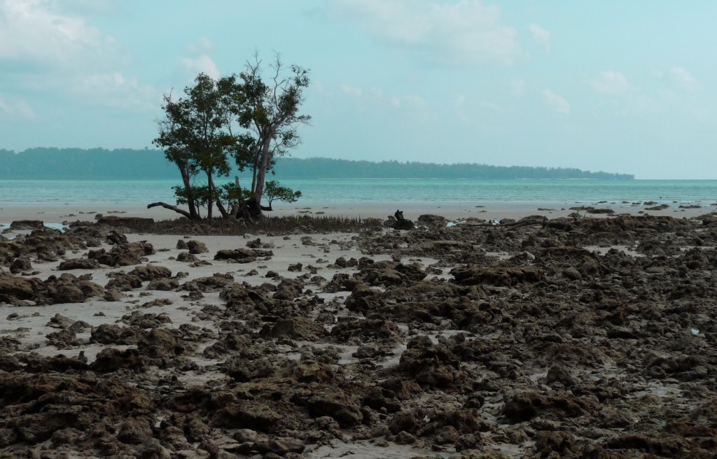 Zdjęcia: Havelock, Andamany , Plaża, INDIE Zdjęcia: Havelock, Andamany , Plaża, INDIE