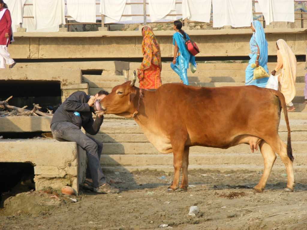 Zdjęcia: Varanasi, moje Indie 1 konkurs, INDIE Zdjęcia: Varanasi, moje Indie 1 konkurs, INDIE