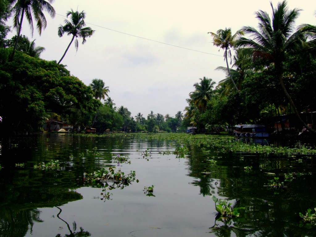Zdjęcia: Rozlewiska, Kerala, Rozlewiska Kerali, INDIE Zdjęcia: Rozlewiska, Kerala, Rozlewiska Kerali, INDIE