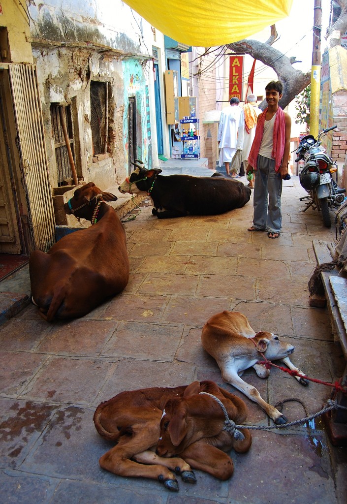 Zdjęcia: Varanasi, Uttar Pradesh, Zaułek, INDIE Zdjęcia: Varanasi, Uttar Pradesh, Zaułek, INDIE